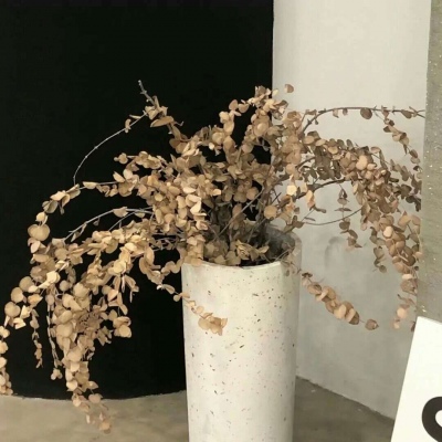 兽设Q版设计教程福瑞群